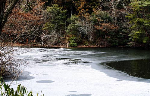 薄氷の張った池の写真