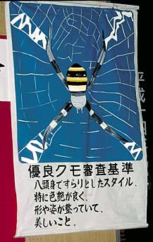 The poster of a Spider-Beauty-Contest